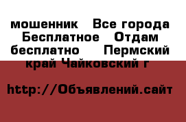 мошенник - Все города Бесплатное » Отдам бесплатно   . Пермский край,Чайковский г.